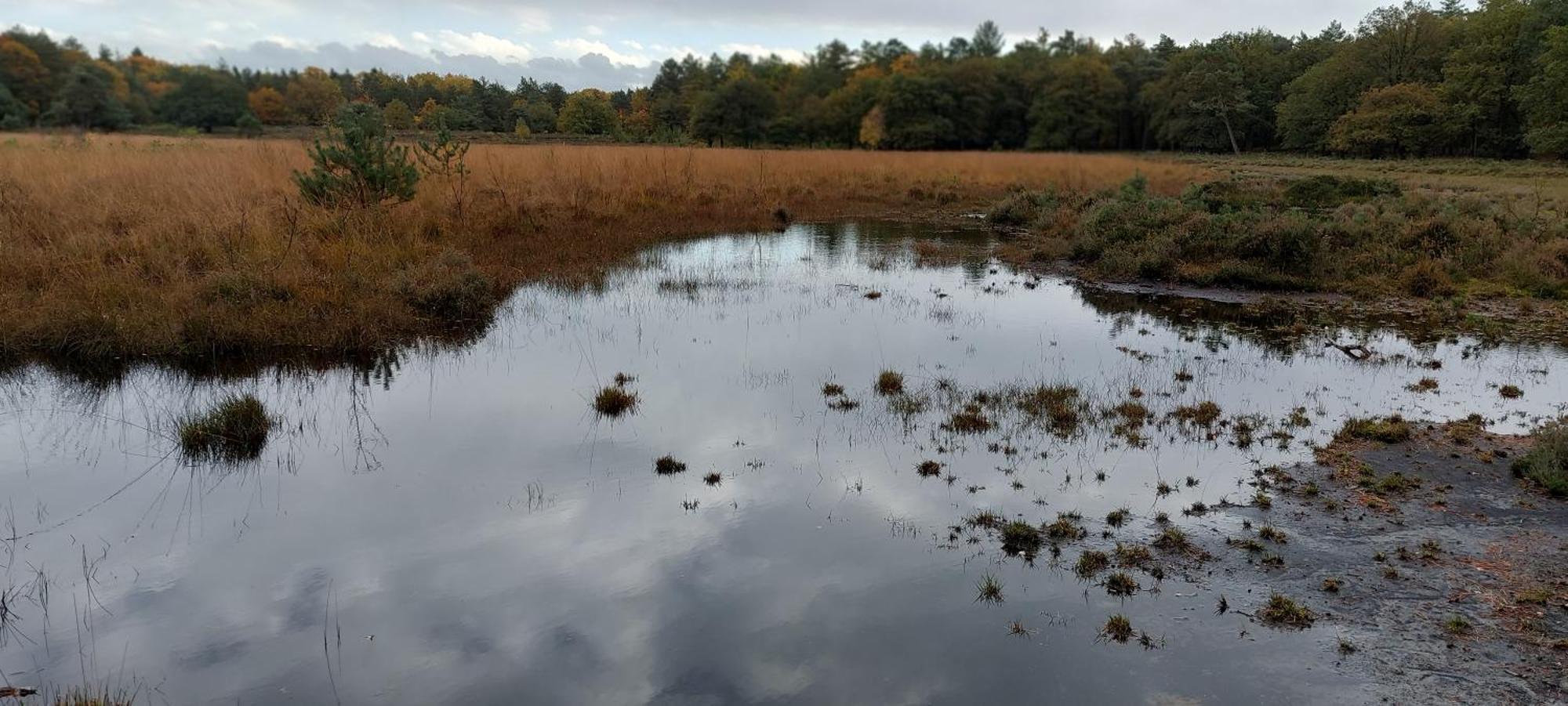 Wezuperbrug Mooi Drenthe 빌라 외부 사진